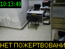 10:13:49