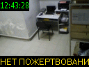 12:43:28