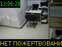 13:06:20