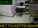 13:35:22