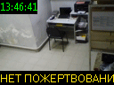13:46:41