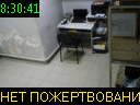 08:30:41