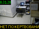08:31:28
