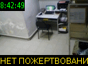 08:42:49