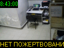 08:43:00