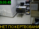 09:00:49