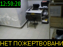 12:50:20