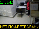 12:50:42