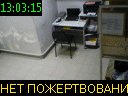 13:03:15