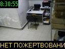 08:30:55