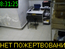 08:31:25
