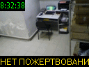 08:32:38