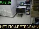 08:42:36