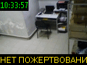 10:33:57