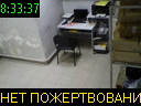 08:33:37