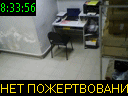 08:33:56