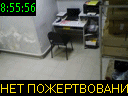 08:55:56