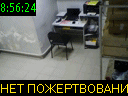 08:56:24