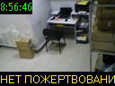 08:56:46