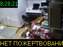 08:28:21