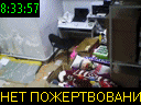 08:33:57
