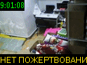 09:01:08