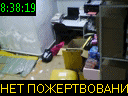 08:38:19