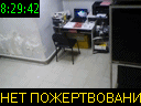 08:29:42