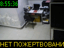 08:55:36
