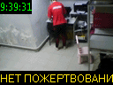 09:39:31