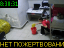 08:30:31