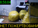 08:50:04