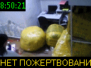 08:50:21