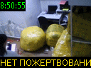08:50:55