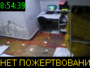 08:54:39