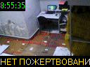 08:55:35