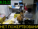 08:31:22