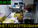 09:46:50