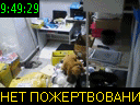 09:49:29