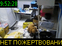 09:52:28