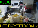 08:55:03