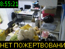 08:55:21
