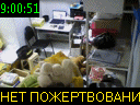 09:00:51