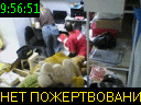 09:56:51