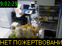 09:02:29