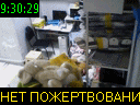 09:30:29