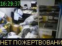16:29:37