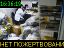 16:36:19
