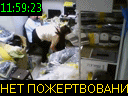 11:59:23